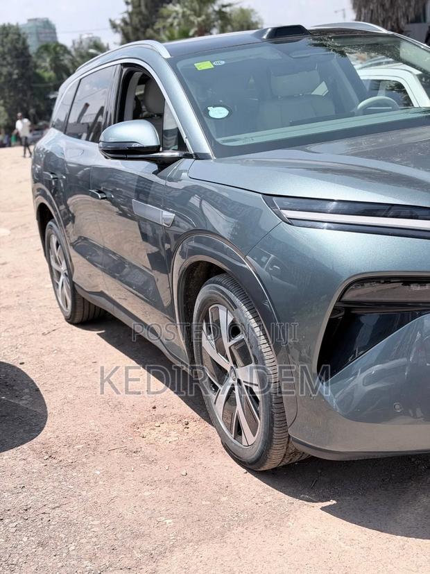 BYD Tang DM-i 2025 Gray