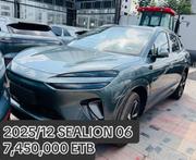 New BYD Sealion 06 EV 2026 Gray for sale