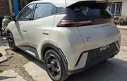 BYD Seagull 2025 White for sale