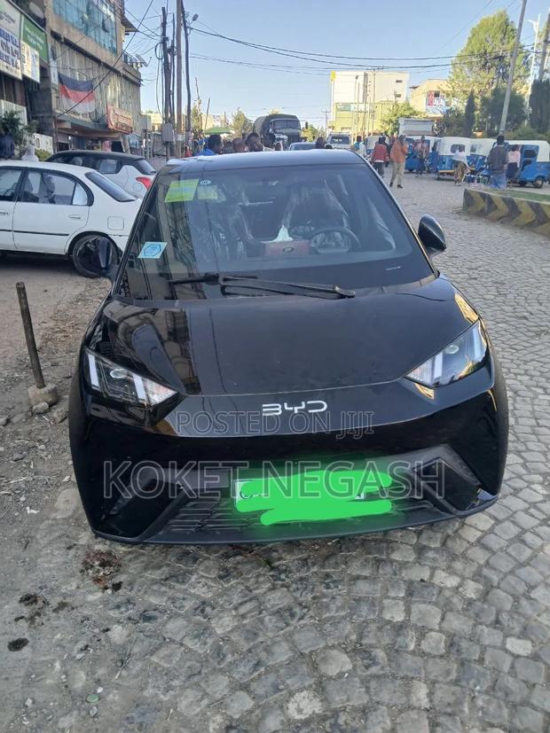BYD Seagull 2024 Black