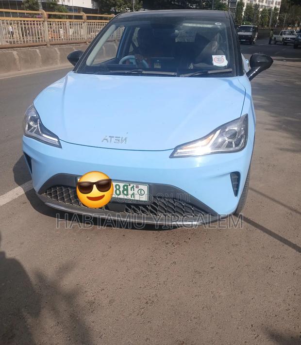 Hozon Neta Aya 2023 Blue