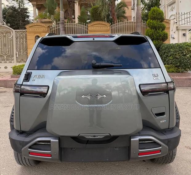 BYD Leopard 3 2025 Gray