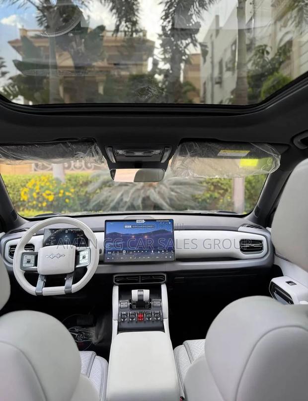 BYD Leopard 3 2025 Gray