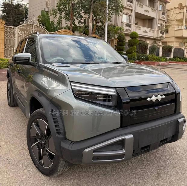 BYD Leopard 3 2025 Gray