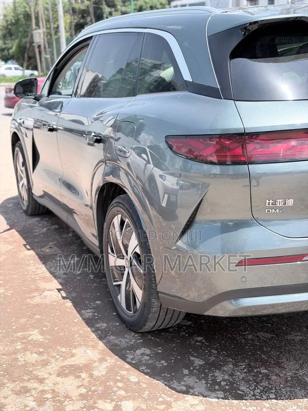 BYD Tang DM-i 2025 Green