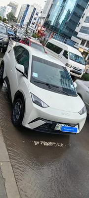BYD Seagull 2025 White for sale