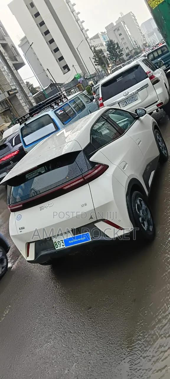 BYD Seagull 2025 White