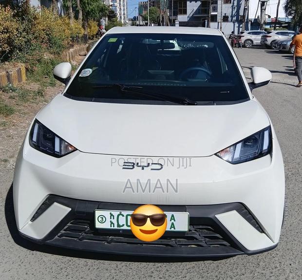 BYD Seagull 2025 White