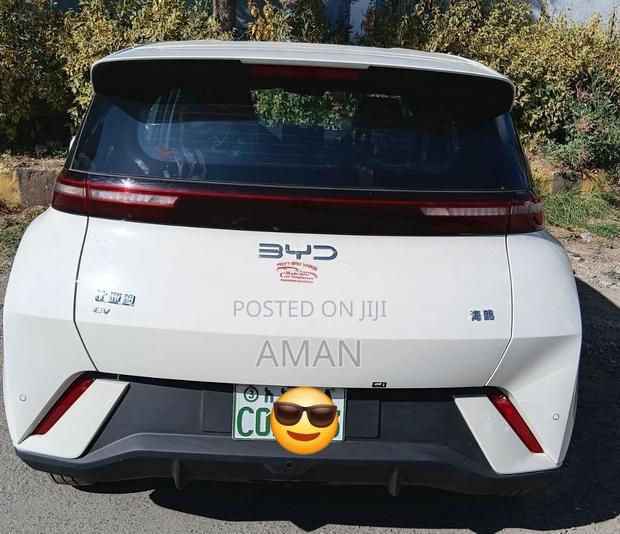 BYD Seagull 2025 White