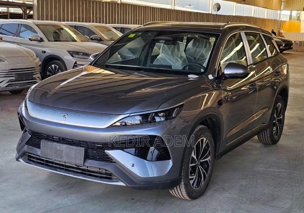 New BYD Song Pro DM-i 2025 Gray