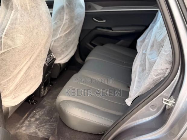 New BYD Song Pro DM-i 2025 Gray