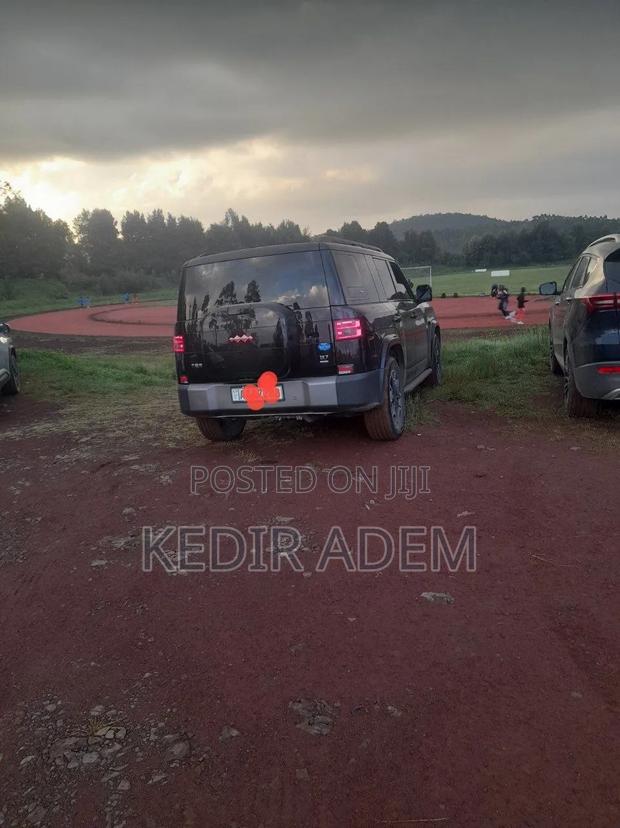 BYD Leopard 7 2025 Black
