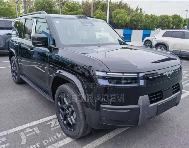 BYD Leopard 7 2025 Black