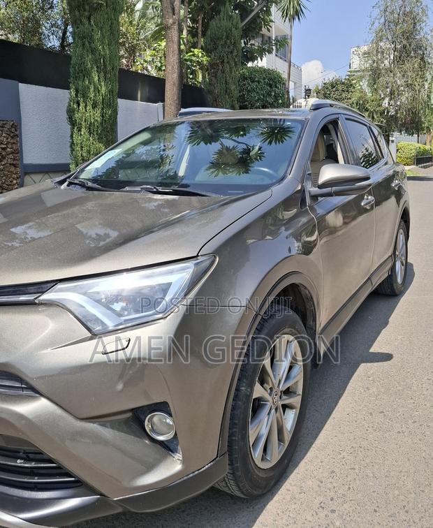 Toyota RAV4 2017 Brown
