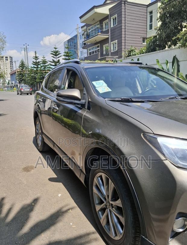 Toyota RAV4 2017 Brown