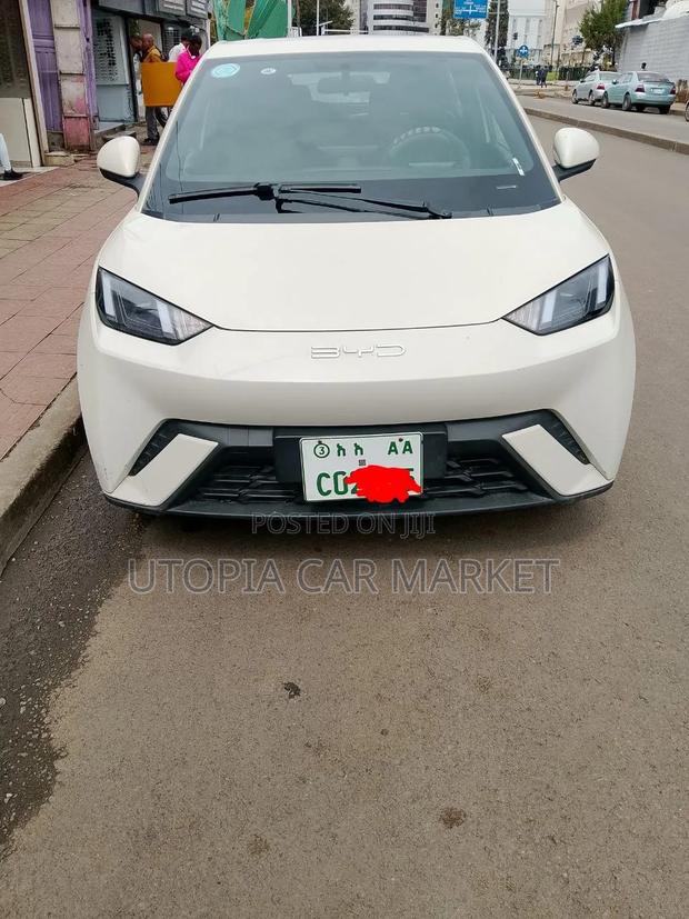 BYD Seagull 2023
