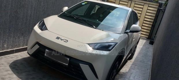 BYD Seagull 2025