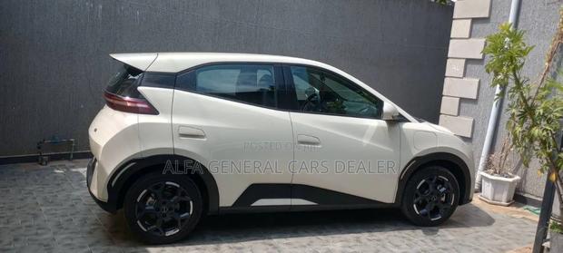 BYD Seagull 2025
