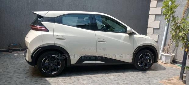 BYD Seagull 2025