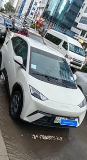 New BYD Seagull 2025 White for sale