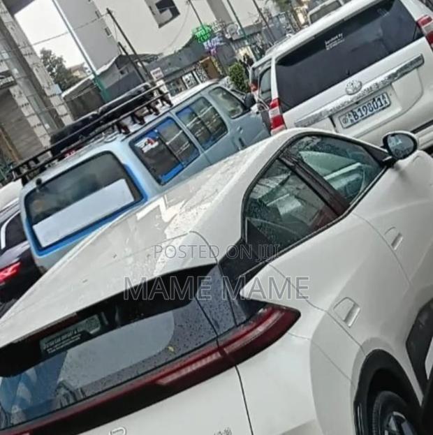 New BYD Seagull 2025 White