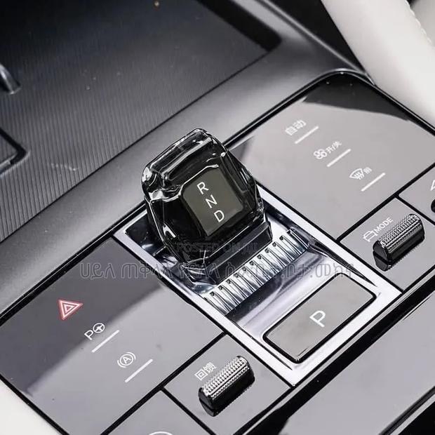 BYD Song Plus 2025 Purple