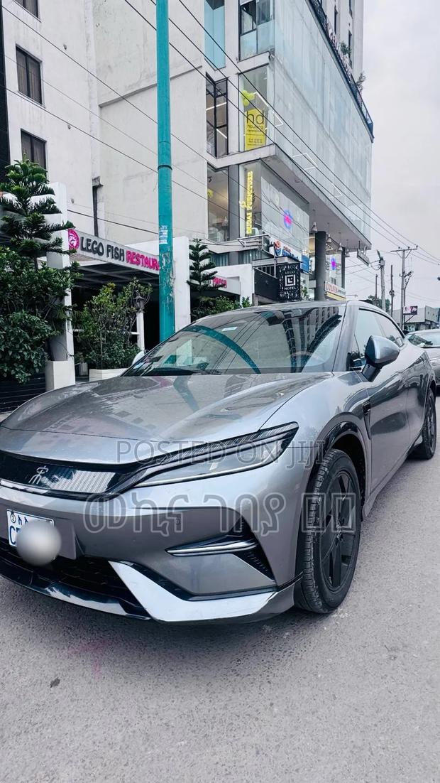 BYD Song L DM-i 2024 Gray