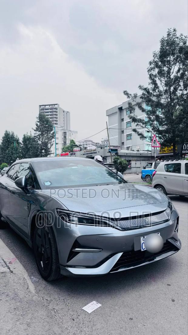 BYD Song L DM-i 2024 Gray