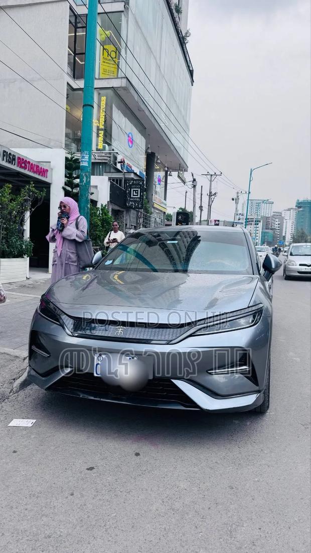BYD Song L DM-i 2024 Gray