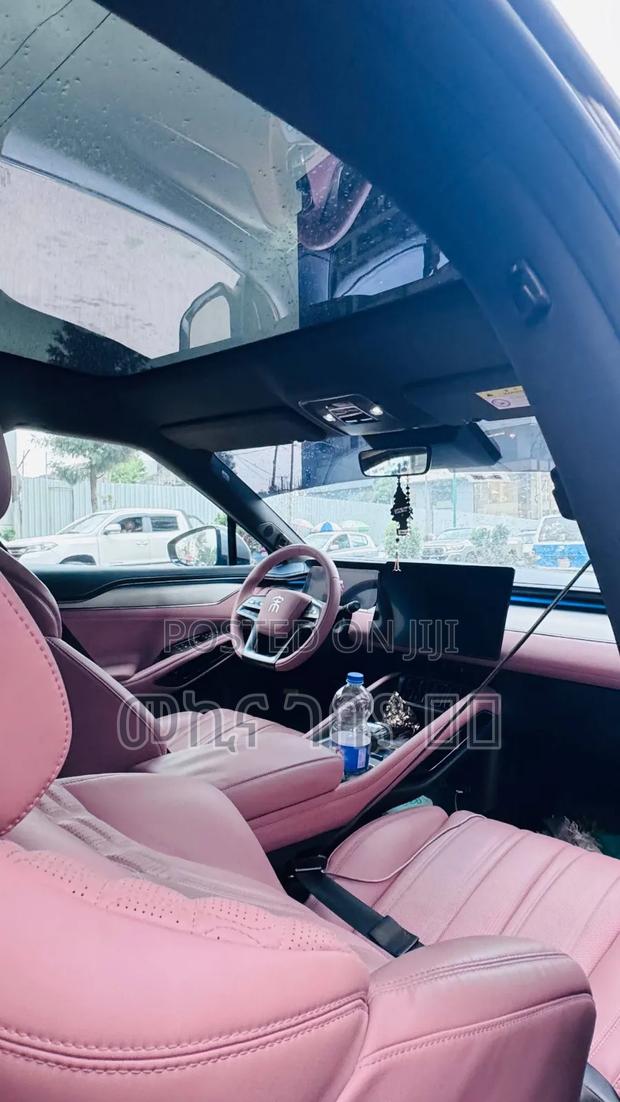 BYD Song L DM-i 2024 Gray