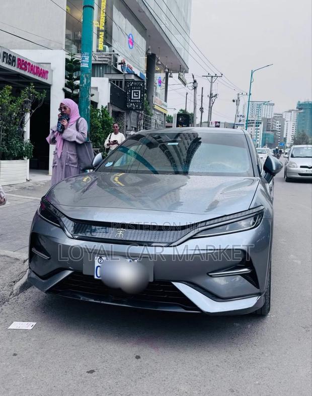 BYD Song L DM-i 2024 Gray