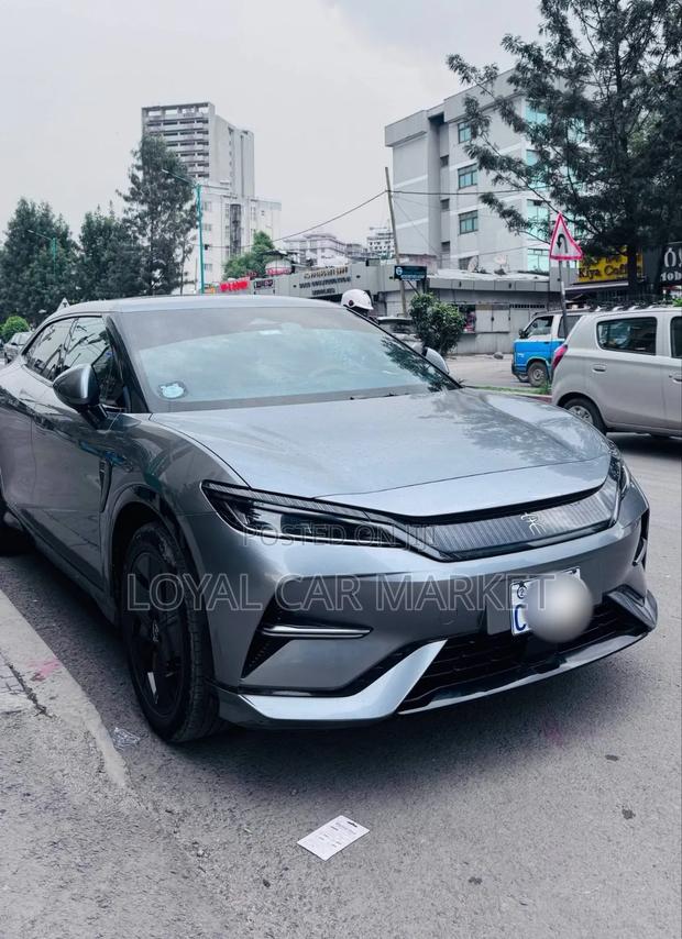 BYD Song L DM-i 2024 Gray