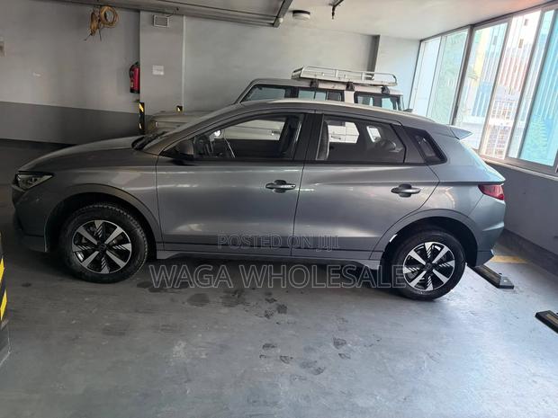 BYD E2 43 kWh 94 hp FWD 2024 Gray