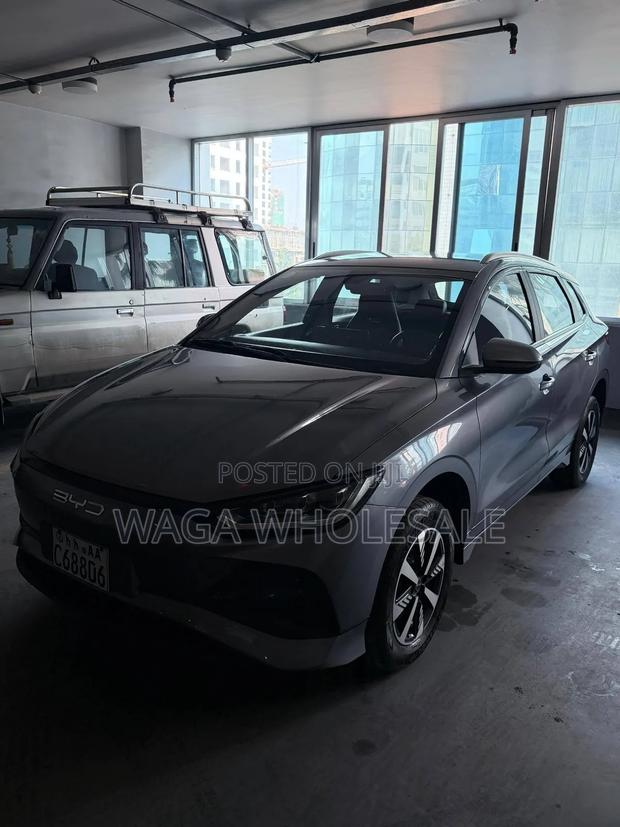 BYD E2 43 kWh 94 hp FWD 2024 Gray