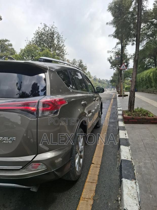Toyota RAV4 2015 Gray