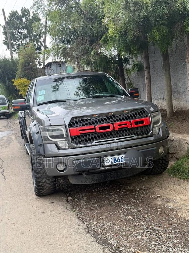 Ford F-150 2017 Gray