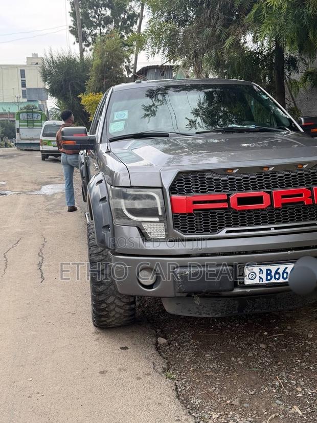 Ford F-150 2017 Gray
