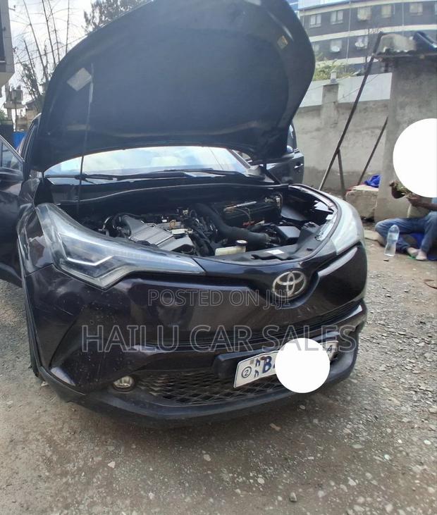 Toyota C-HR 2020 Green