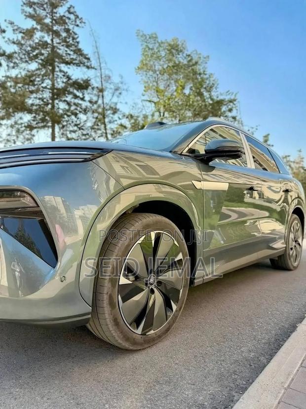 New BYD Tang DM-i 2025 Gray
