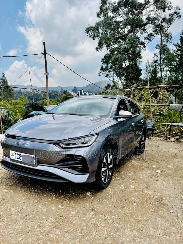 BYD E2 43 kWh 94 hp FWD 2024 Gray