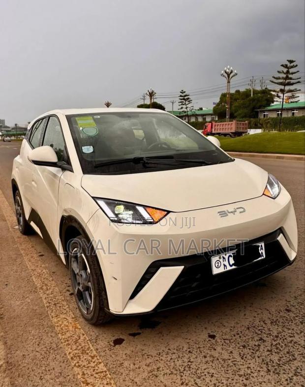 BYD Seagull 2024 Gray