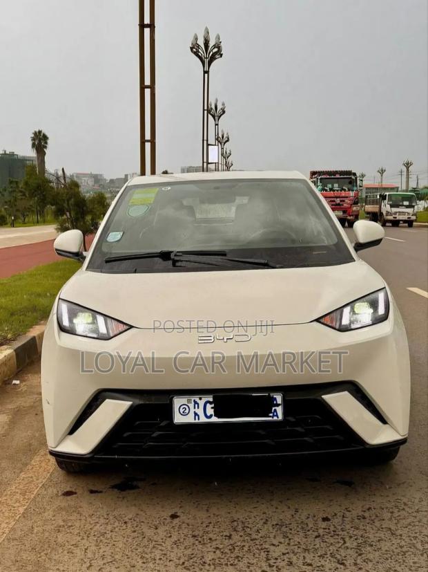 BYD Seagull 2024 Gray