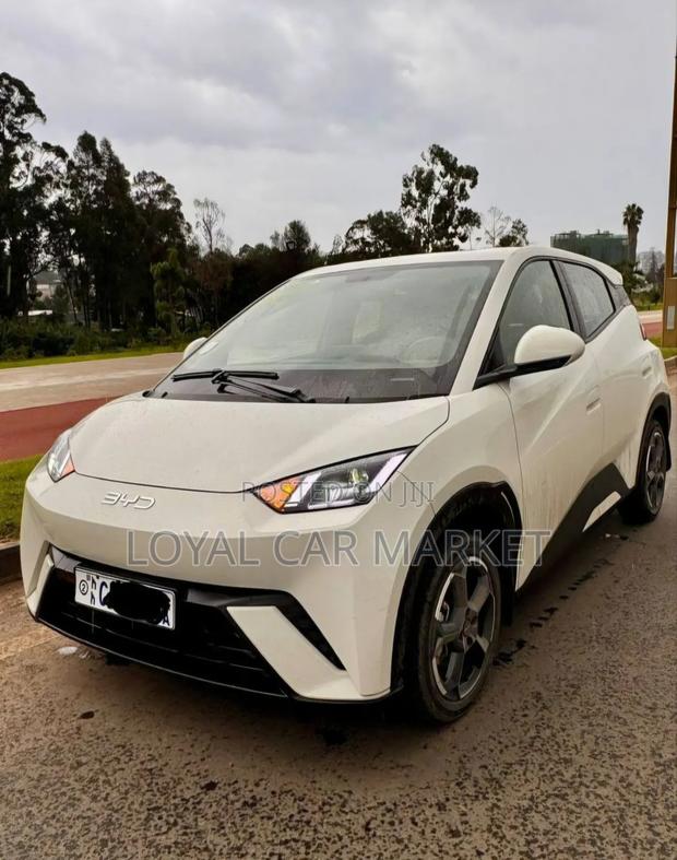BYD Seagull 2024 Gray