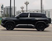 BYD Leopard 3 2025 Black for sale