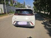 BYD Seagull 2024 Maroon for sale