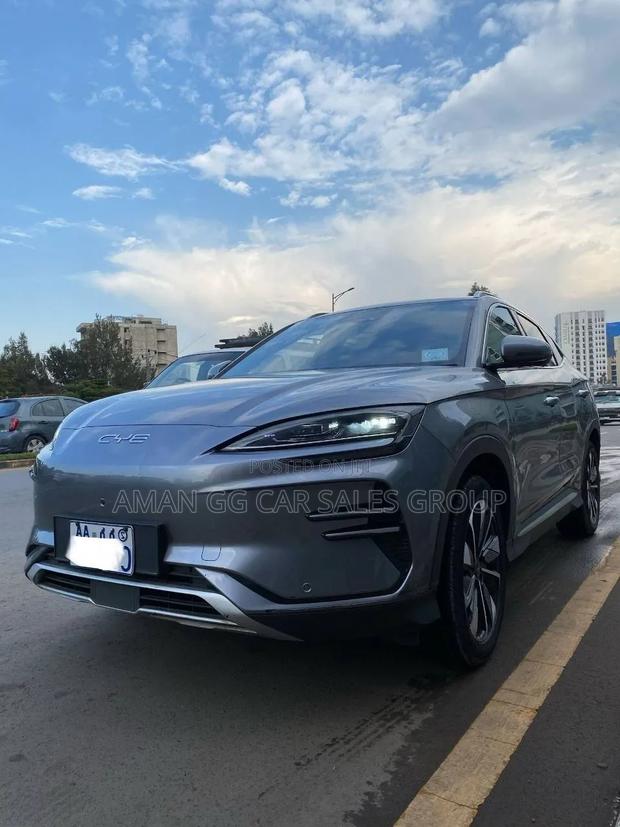 BYD Song Plus 2024 Gray