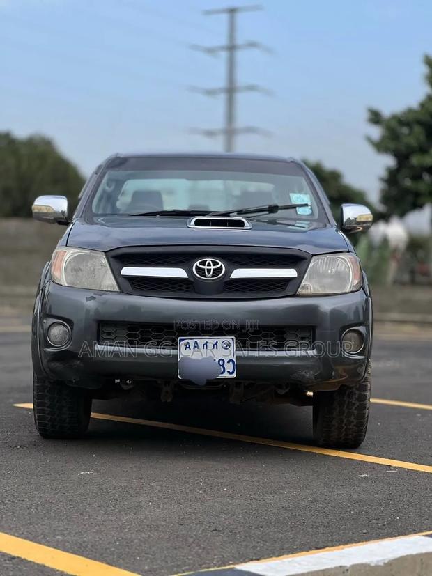 Toyota Hilux 2010 Gray