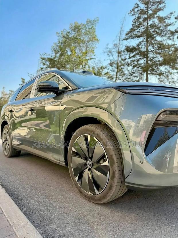 New BYD Tang EV 2025 Gray