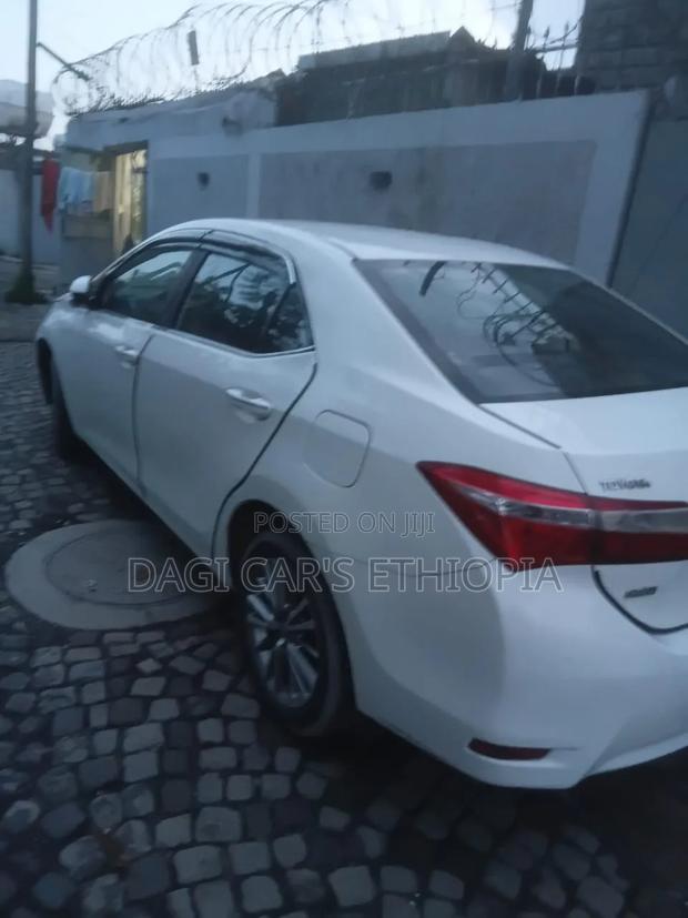 New Toyota Corolla 2022 White