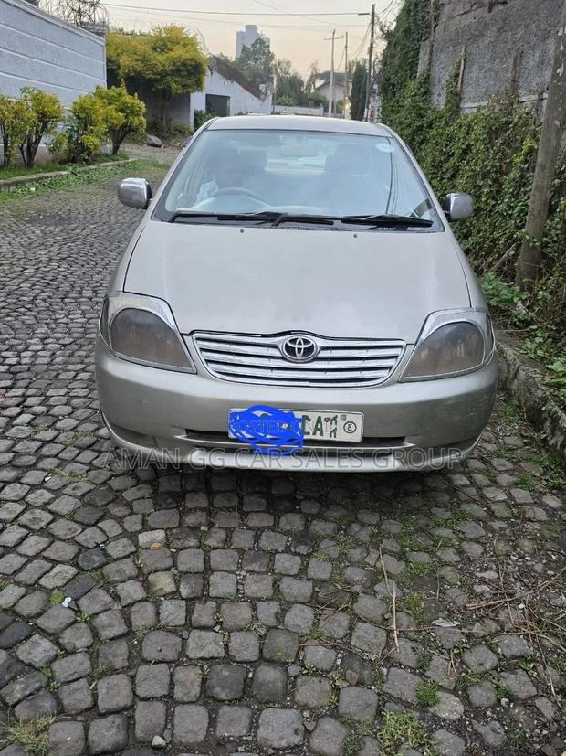 Toyota Corolla 2003 Gray